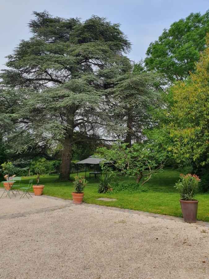 Douceurs Des Vignes Du Vivian Ferienhaus