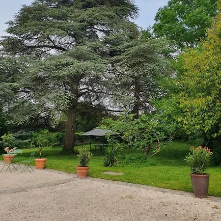 Villa Douceurs Des Vignes Du Vivian Denicé Exterior foto