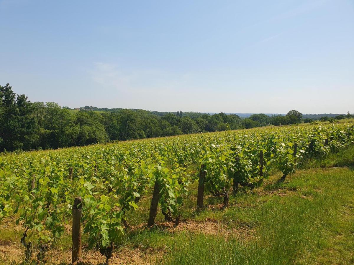 Douceurs Des Vignes Du Vivian Holiday home *